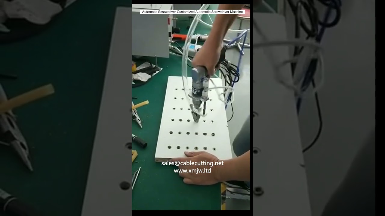 Customized Automatic Screwdriver Machine for Factory Automation