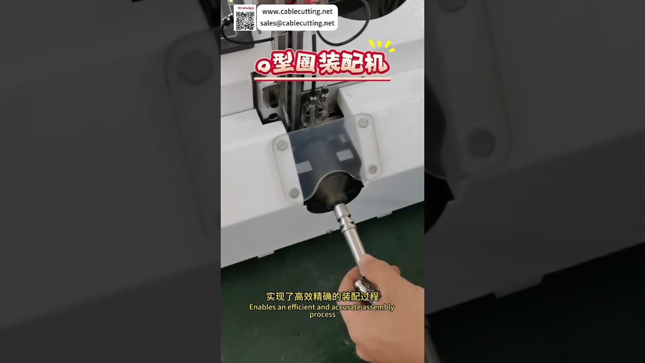 Sistema de Montagem Automatizado Confiável | Máquinas de Produção de Alta Precisão Personalizadas