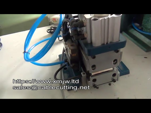 Máquina Pneumática de Decapagem de Núcleo Interno WPM 3F