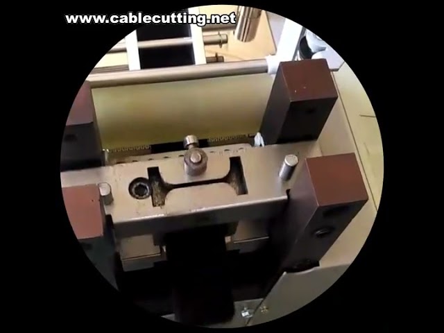 Máquina de Corte de Fita Reto Automática | Cortadeira Elétrica com Faca Circular | Solução Industrial