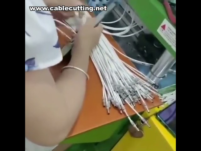 Cable Injection Molding Machine, Plastic Injection Machine, Data Cable Injection Molding